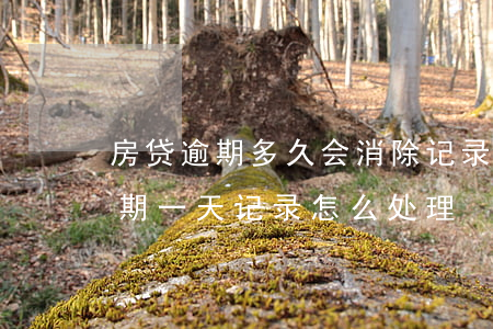 房贷逾期多久会消除记录(房贷超过几天算逾期一天记录怎么处理)