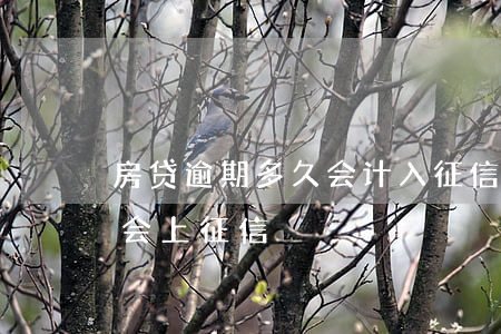 房贷逾期多久会计入征信(银行贷款逾期多久会上征信)