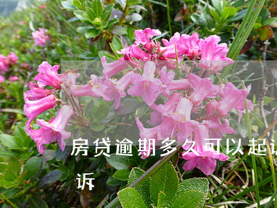 房贷逾期多久可以起诉(房贷逾期多久可以起诉)