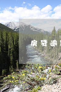 房贷逾期多久合适(房贷逾期多久合适)