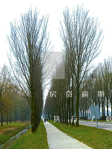 房贷逾期多久法院会拍卖掉-房贷逾期法院执行了啥时候拍卖房子