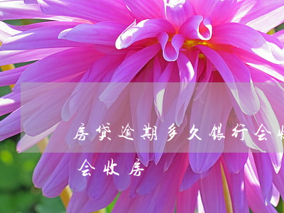 房贷逾期多久银行会收房(一般房贷逾期多久会收房)