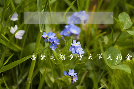 房贷逾期多少天算违约金