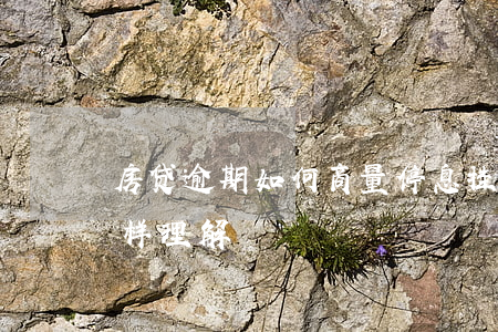 房贷逾期如何商量停息挂账(停帐挂息逾期怎样理解)