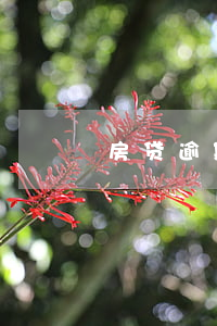房贷逾期对人的影响(逾期对房贷影响大吗)