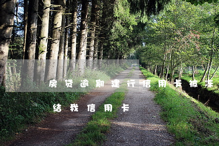 房贷逾期建行信用卡被冻结(建行莫名其妙冻结我信用卡)