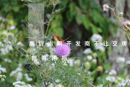 房贷逾期开发商不让交房(开发商逾期交房仲裁有用吗)