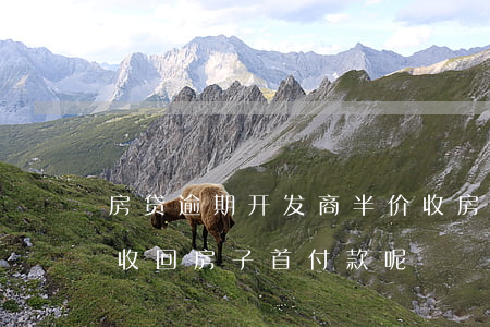 房贷逾期开发商半价收房(房贷逾期开发商要收回房子首付款呢)