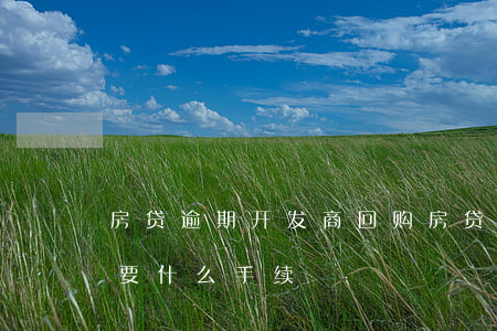 房贷逾期开发商回购(房贷逾期开发商回购需要什么手续)