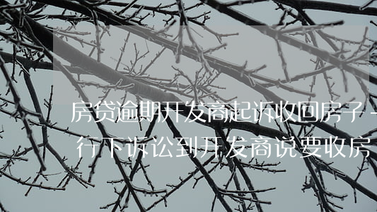 房贷逾期开发商起诉收回房子-房贷逾期银行下诉讼到开发商说要收房