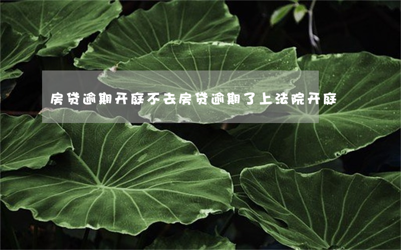 房贷逾期开庭不去(房贷逾期了上法院开庭)