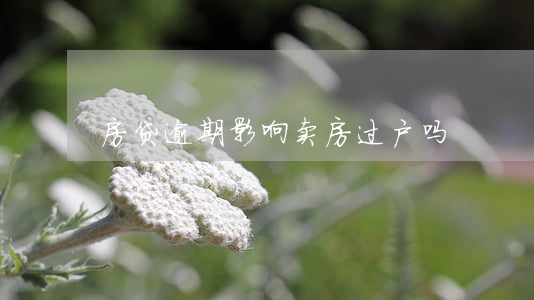 房贷逾期影响卖房过户吗