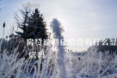 房贷逾期征信会有什么显示(房贷逾期会上征信吗)