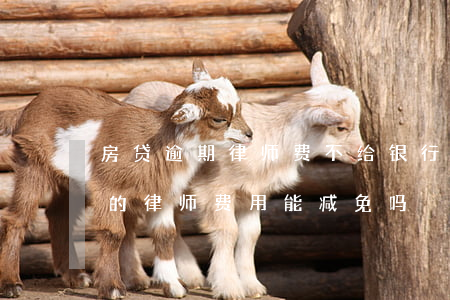 房贷逾期律师费不给银行会同意吗(房贷逾期的律师费用能减免吗)