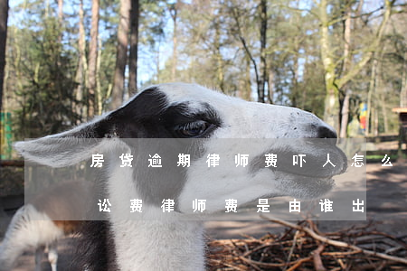 房贷逾期律师费吓人怎么处理（房贷逾期后诉讼费律师费是由谁出）