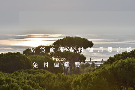 房贷逾期支付律师费(房贷逾期被起诉如何避免付律师费)