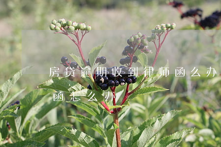 房贷逾期收到律师函么办(房贷逾期收到律师函怎么办)