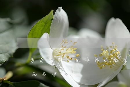 房贷逾期收到律师函处理(房贷逾期收到律师函处理)