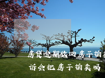 房贷逾期收回房子拍卖款(房贷逾期半年被起诉会把房子拍卖吗)