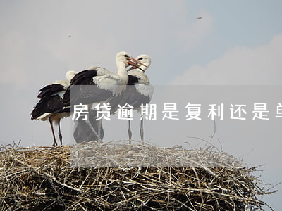 房贷逾期是复利还是单利(房贷是复利计息吗)
