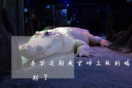 房贷逾期是实时上报的吗(房贷为什么显示逾期了)