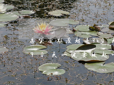 房贷逾期没超过90天有权起诉吗(房贷逾期90天一定要被起诉吗)