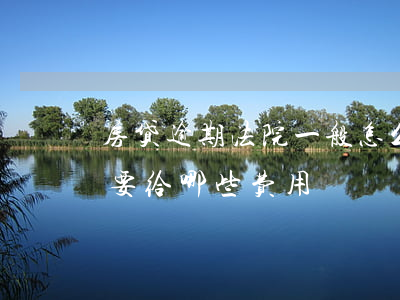 房贷逾期法院一般怎么判（房贷逾期法院开庭要给哪些费用）