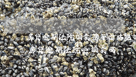 房贷逾期法院拍卖房子价格能拍卖高了吗（因房贷逾期法院会拍卖吗）