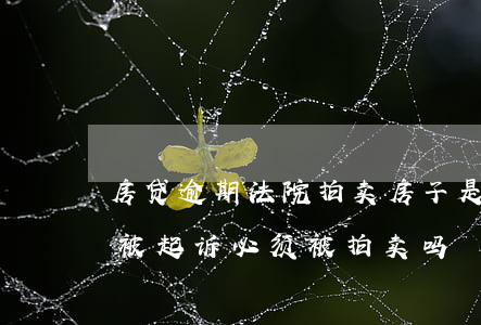 房贷逾期法院拍卖房子是什么意思(房贷逾期被起诉必须被拍卖吗)