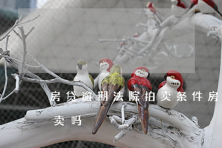 房贷逾期法院拍卖条件(房贷逾期银行有权拍卖吗)