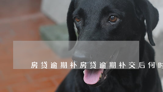 房贷逾期补，房贷逾期补交后何时扣款