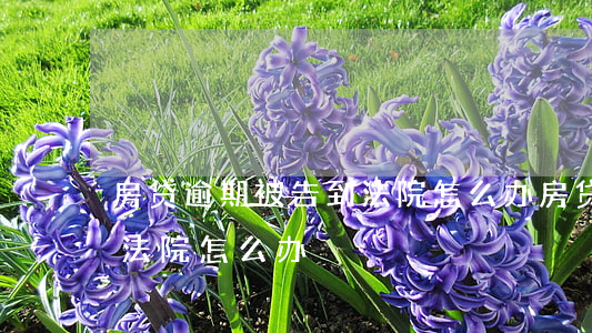 房贷逾期被告到法院怎么办(房贷逾期被告到法院怎么办)