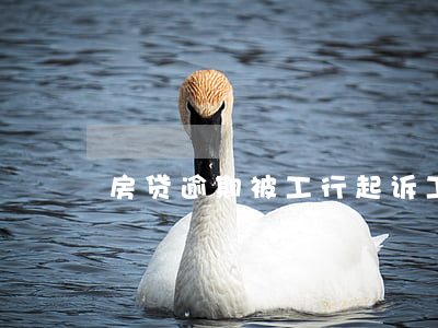 房贷逾期被工行起诉 工行房贷逾期了怎么办