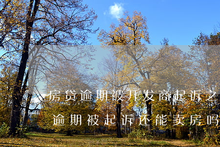 房贷逾期被开发商起诉之后还能卖吗（信用卡逾期被起诉还能卖房吗）