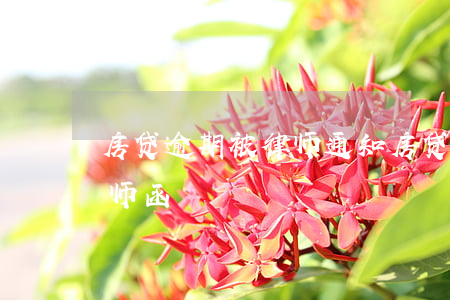 房贷逾期被律师通知（房贷长时间逾期发来律师函）