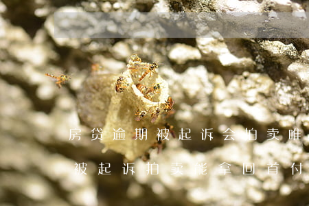 房贷逾期被起诉会拍卖唯一房子吗 房贷逾期被起诉拍卖能拿回首付款吗