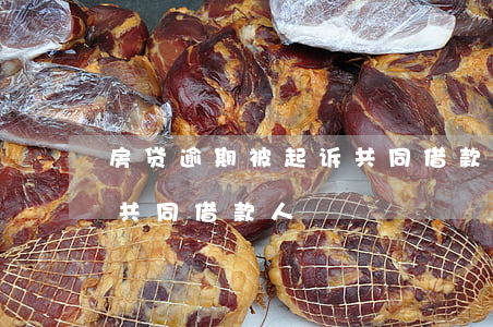 房贷逾期被起诉共同借款人(房贷逾期被起诉共同借款人)