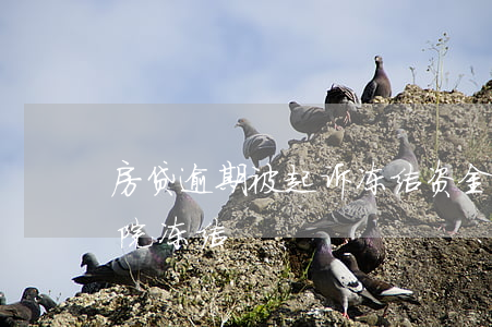 房贷逾期被起诉冻结资金(贷款逾期房产被法院冻结)