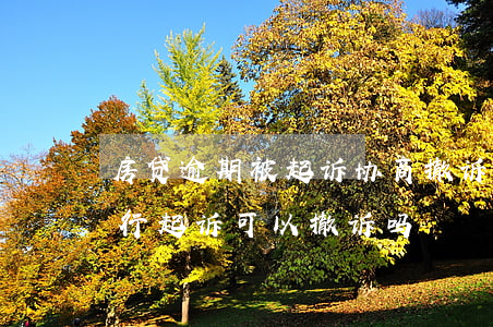 房贷逾期被起诉协商撤诉案例-因房贷被银行起诉可以撤诉吗