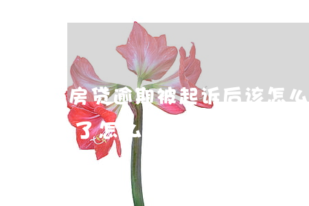 房贷逾期被起诉后该怎么做（房贷逾期了起诉了怎么办）