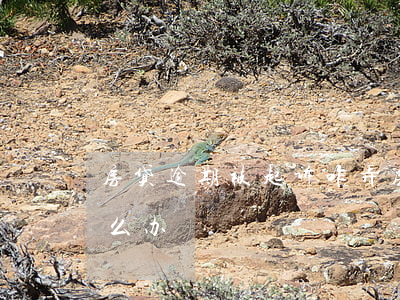 房贷逾期被起诉咋弄(房贷逾期被法院起诉怎么办)