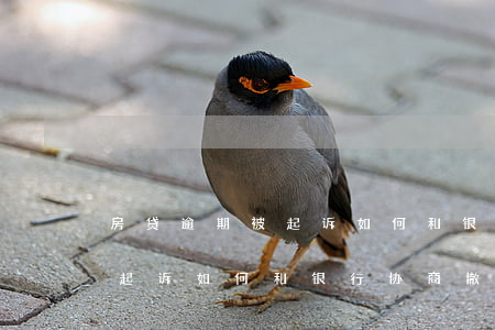 房贷逾期被起诉如何和银行协商 房贷逾期被起诉如何和银行协商撤诉请律师