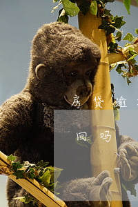 房贷逾期被起诉如何撤诉(房贷逾期起诉可挽回吗)