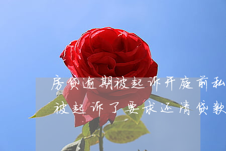 房贷逾期被起诉开庭前私了律师费 逾期房贷被起诉了要求还清贷款调解给不起律师费