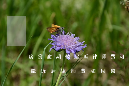 房贷逾期被起诉律师费可以协商吗(房贷逾期撤诉后律师费如何谈)