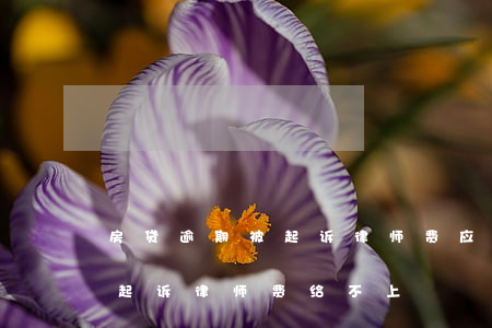 房贷逾期被起诉律师费应该付吗（房贷逾期被起诉律师费给不上）
