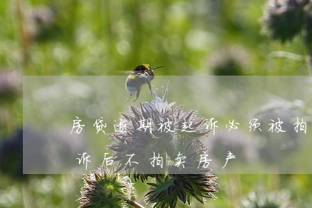 房贷逾期被起诉必须被拍卖吗（房贷逾期被起诉后不拍卖房产）