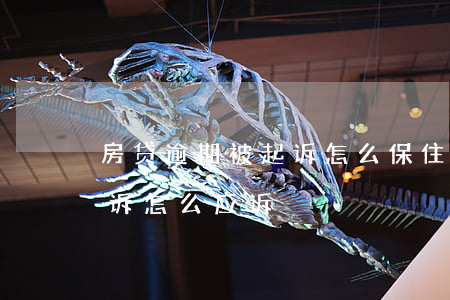 房贷逾期被起诉怎么保住房子(房贷逾期被起诉怎么应诉)