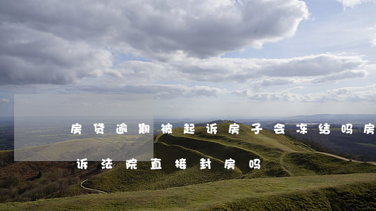 房贷逾期被起诉房子会冻结吗(房贷逾期被起诉法院直接封房吗)