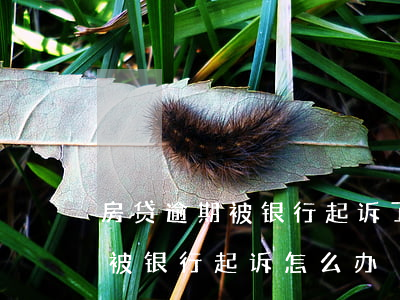 房贷逾期被银行起诉了怎么办 房贷逾期已经被银行起诉怎么办